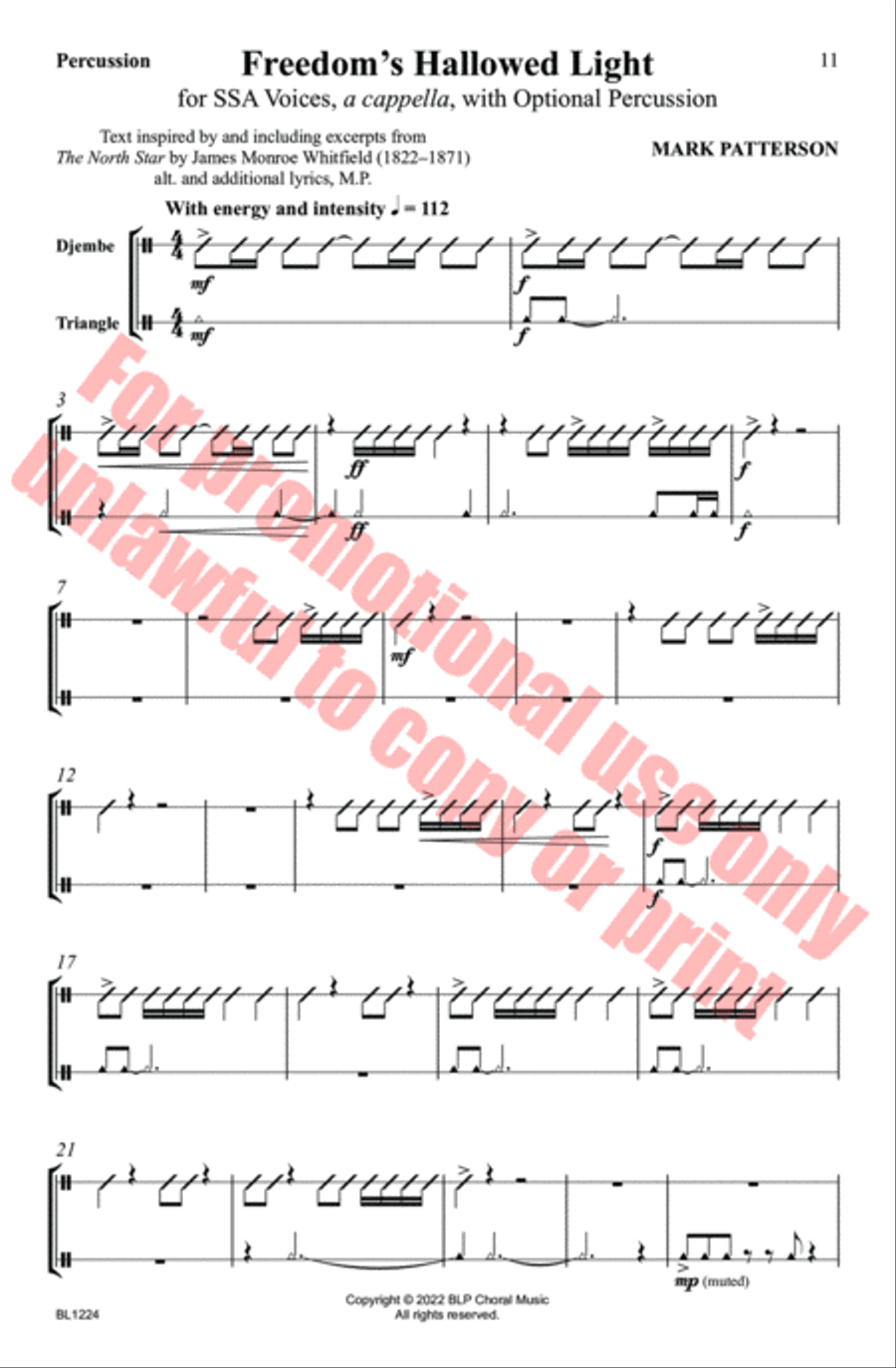 Freedom's Hallowed Light SSA scores gallery preview page 11