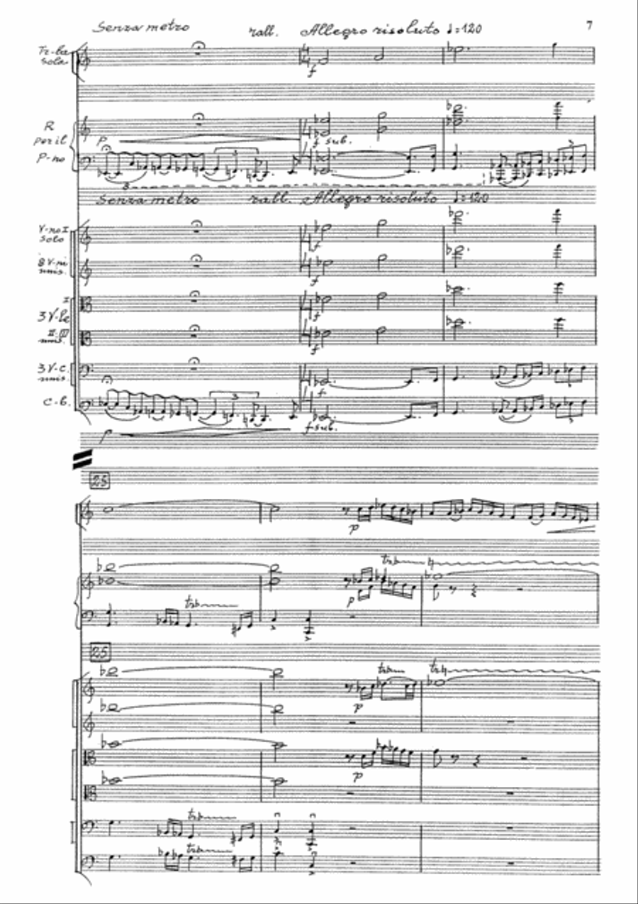 Konzert String Orchestra scores gallery preview page 7