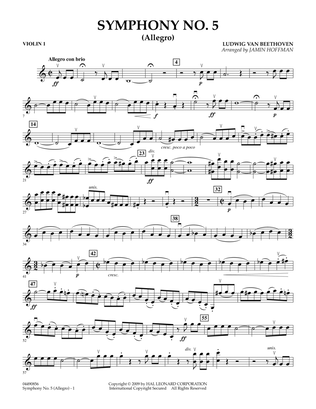 Book cover for Symphony No. 5 (Allegro) - Violin 1