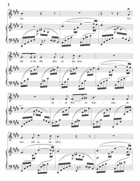 SCHUMANN: Der Nussbaum, Op. 25 no. 3 (transposed to E major)