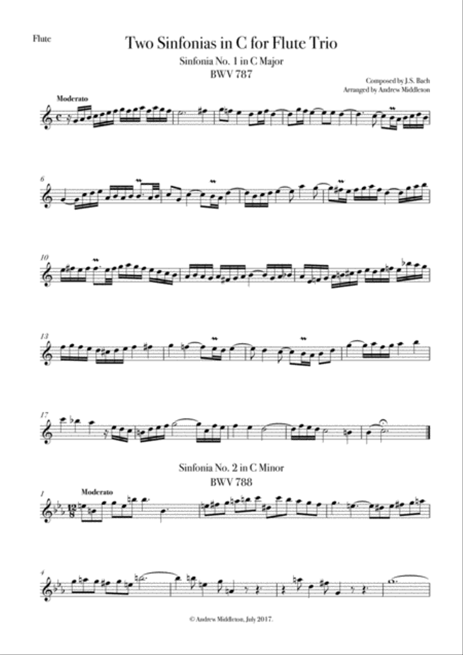 Two Sinfonias in C arranged for Flute Trio Flute Trio scores gallery preview page 6