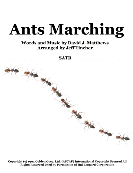 Ants Marching image number null