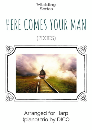 Book cover for Here Comes Your Man