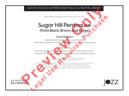 Sugar Hill Penthouse