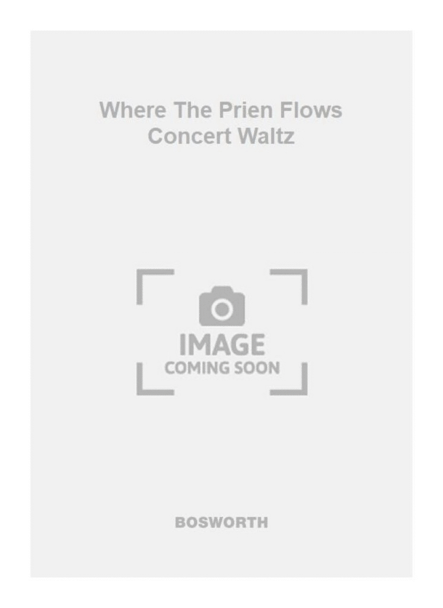 Where The Prien Flows Concert Waltz Orchestra scores gallery preview page 1