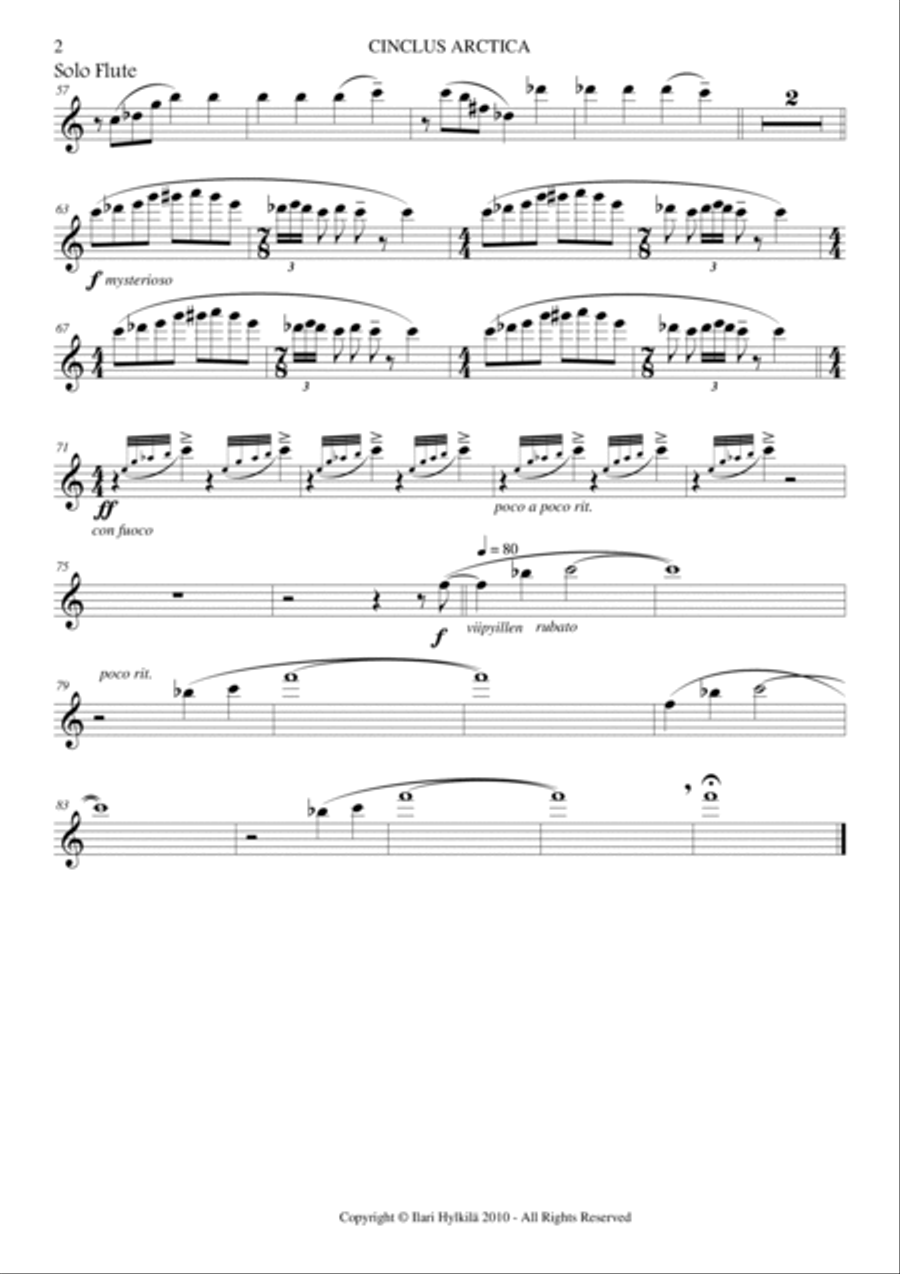 Cinclus Arctica (for solo flute and piano) Cinclus Arctica (for solo flute and piano) Woodwind Duet scores gallery preview page 2