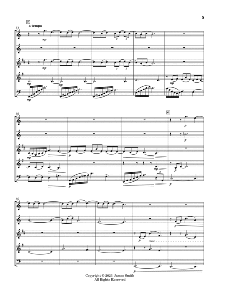 Clair de lune for Woodwind Quintet image number null