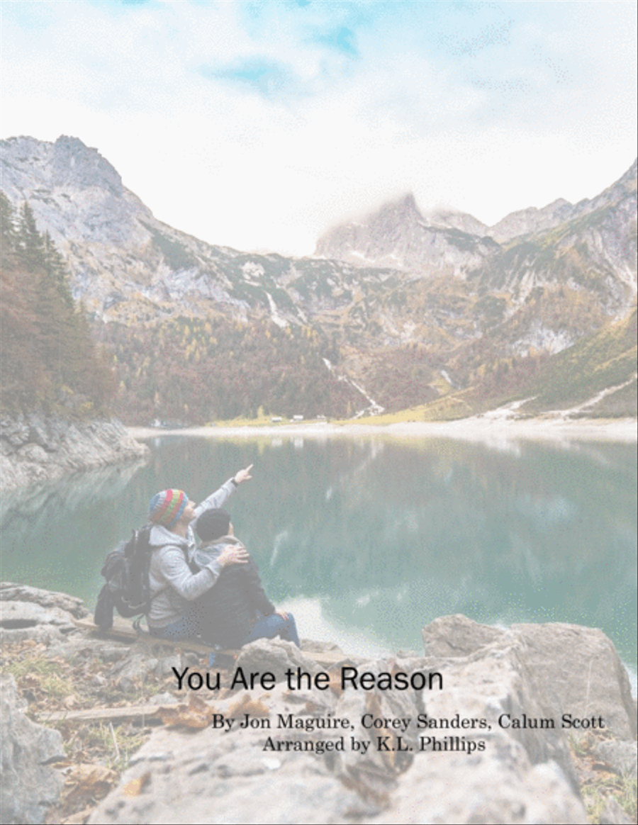 You Are The Reason Violin Solo scores gallery preview page 1