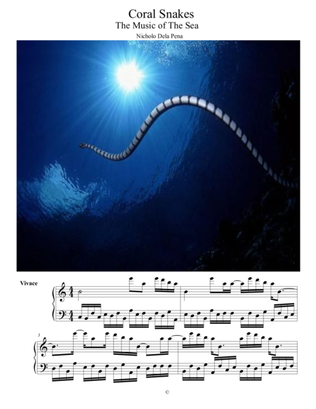"Coral Snakes" The Music of the Sea