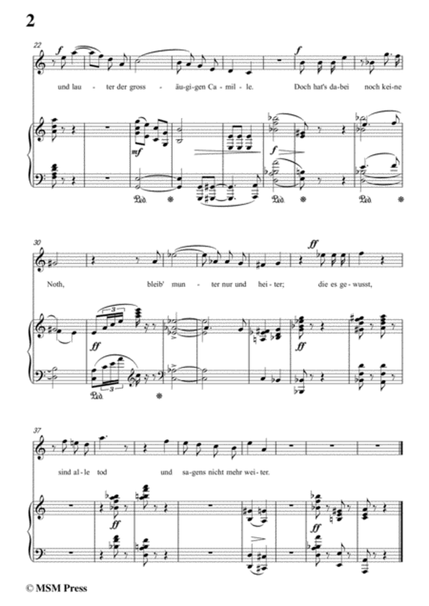 Richard Strauss-Die Verschwiegenen in a minor,for voice and piano image number null