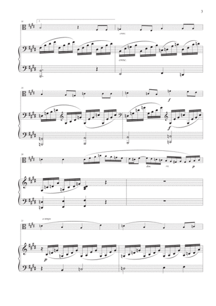 Song Without Words Op. 19 No. 1 for Viola and Piano image number null