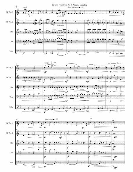 Excerpt from Andante Cantabile, Tchaikovsky Symphony. #5, for Brass Quintet by Peter Ilyich Tchaikovsky Horn - Digital Sheet Music
