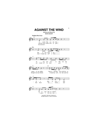 Book cover for Against The Wind