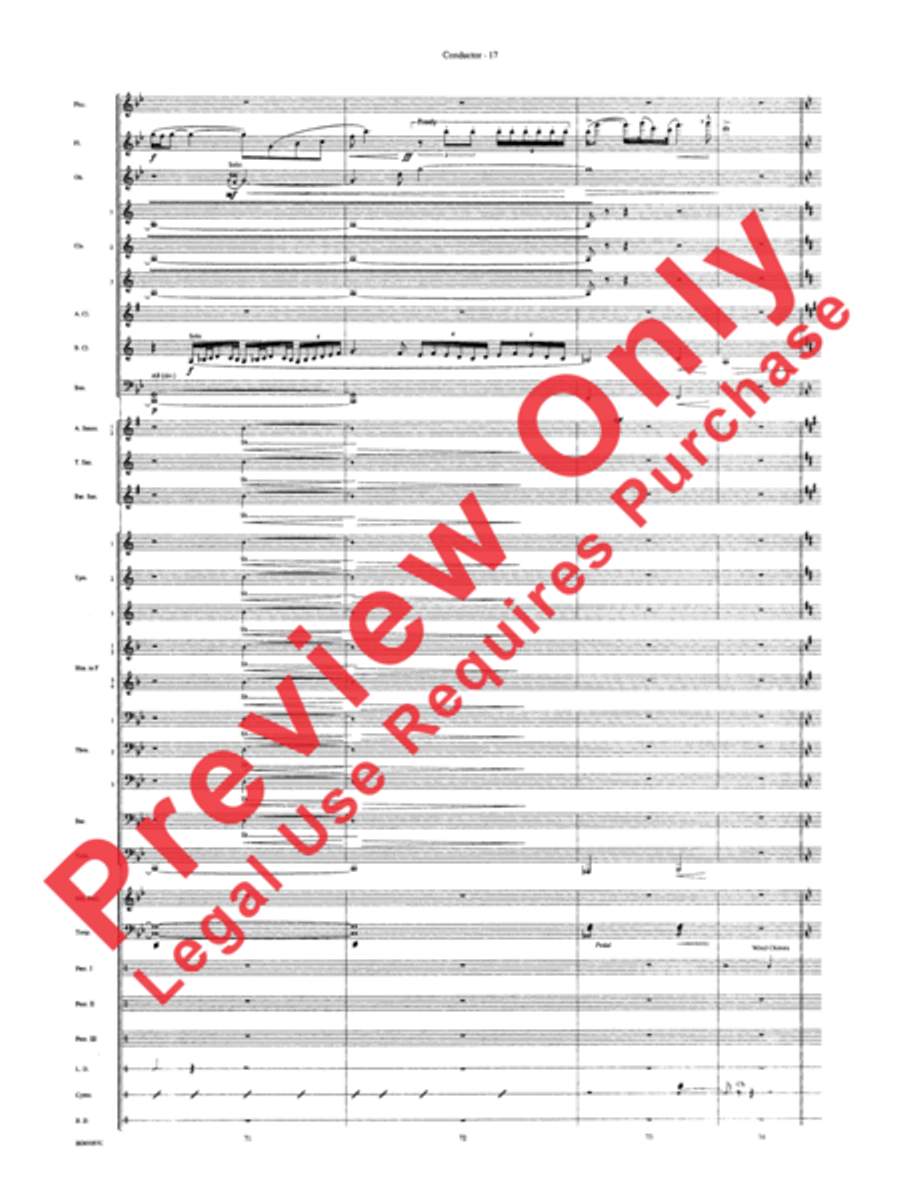 Africa: Ceremony, Song, and Ritual Concert Band scores gallery preview page 20