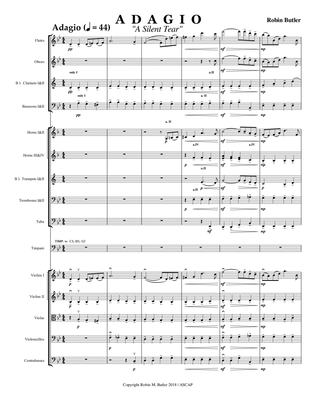 Adagio "A Silent Tear" for Intermediate Orchestra