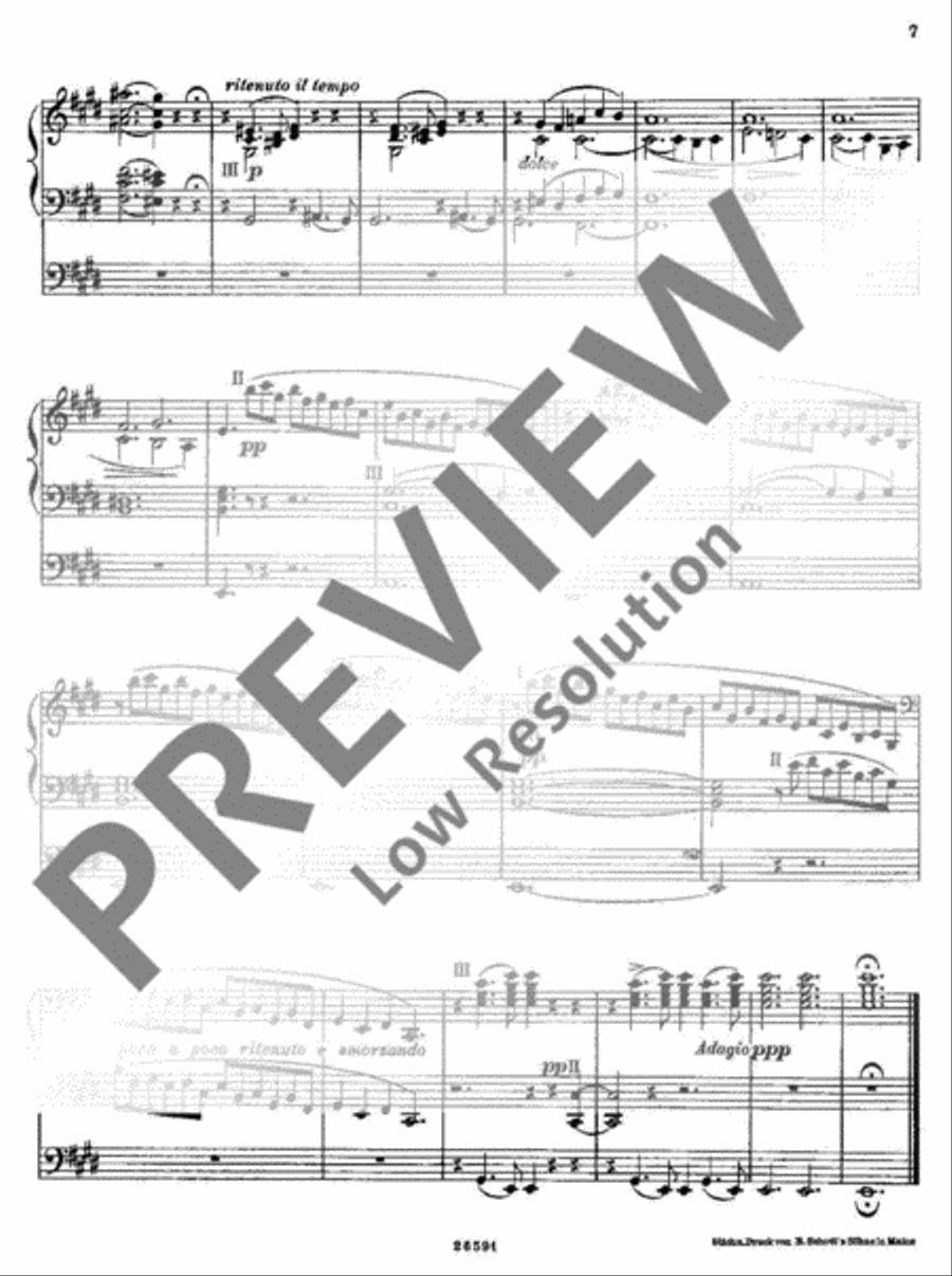Sposalizio Organ scores gallery preview page 8