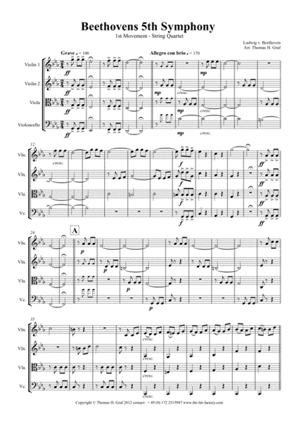 Beethovens 5th Symphony - 1st Movement - String Quartet