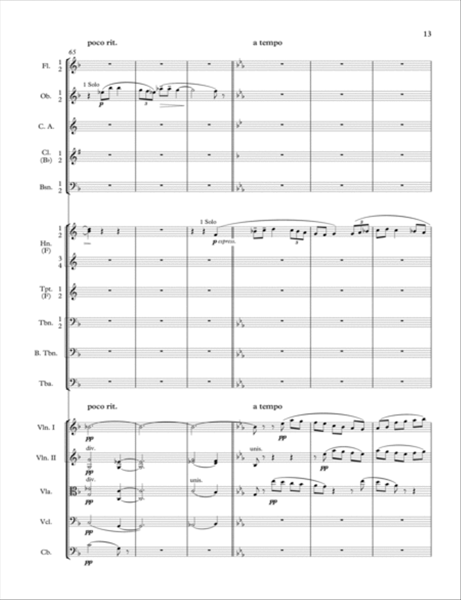 Norfolk Rhapsody No. 2 Full Orchestra scores gallery preview page 5