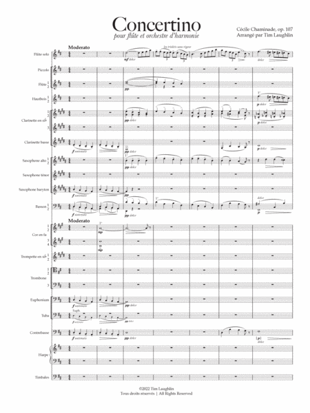 Concertino for Flute image number null