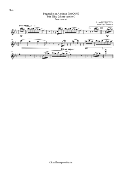 Beethoven: Bagatelle in A minor WoO 59 “Für Elise" (Short version) - flute quartet image number null
