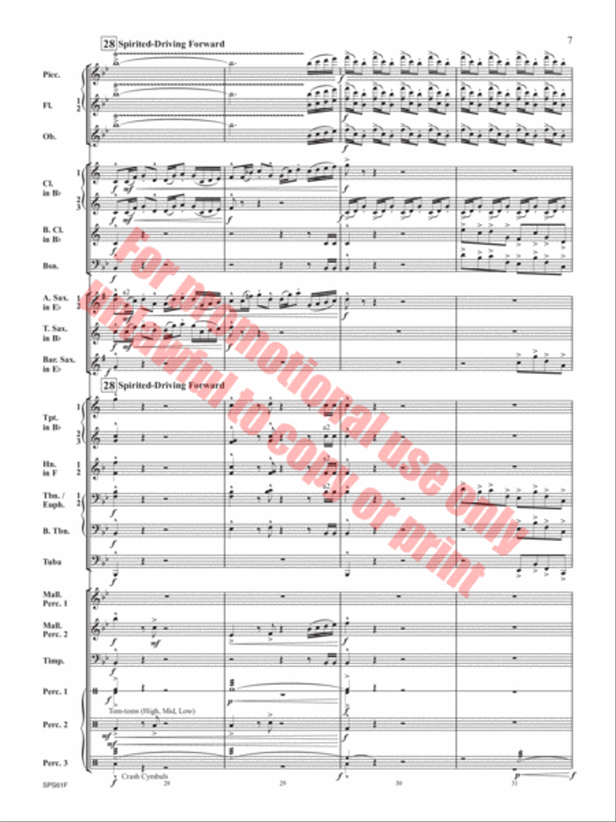 The Lake in the Sky The Lake in the Sky Concert Band scores gallery preview page 8