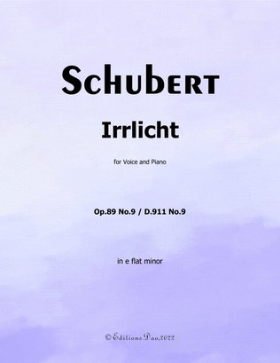 Book cover for Irrlicht, by Schubert, in e flat minor