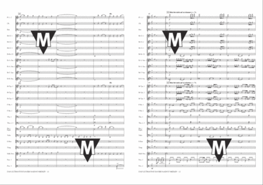 Das Ultimative Xavier Naidoo Medley Concert Band scores gallery preview page 7