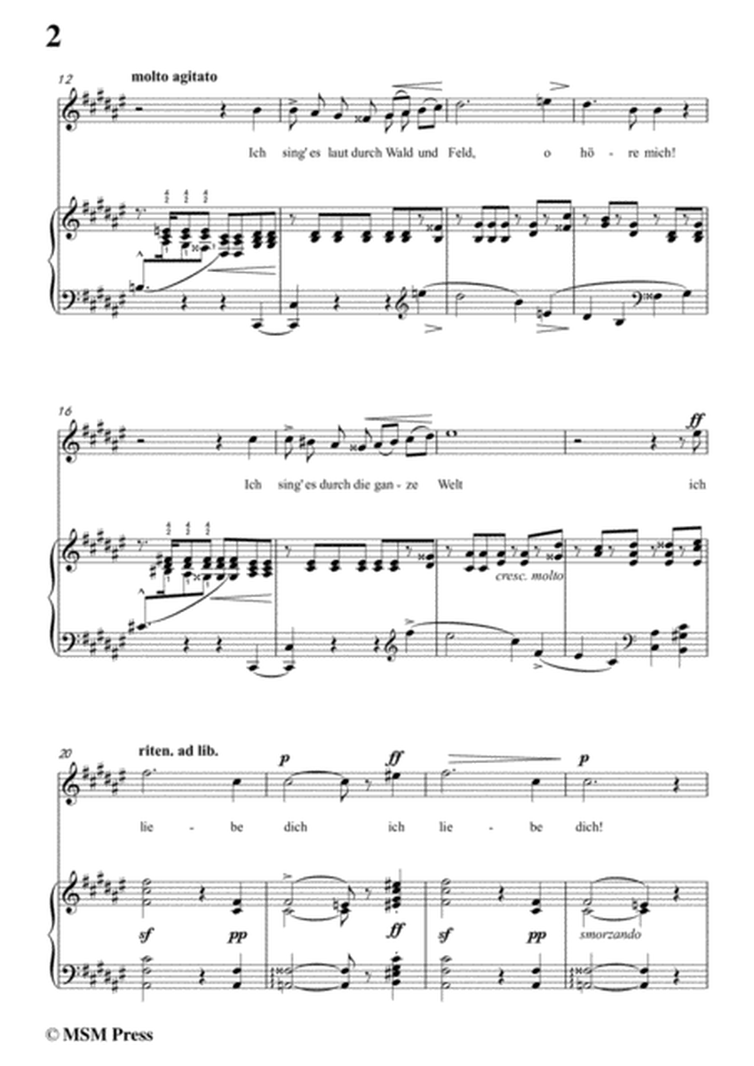 Liszt-In liebeslust in F sharp Major,for Voice and Piano image number null