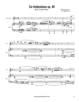 Ein Heldenleben (Violin solo & Piano accompaniment)