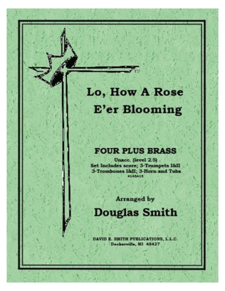 Lo, How a Rose E're Blooming