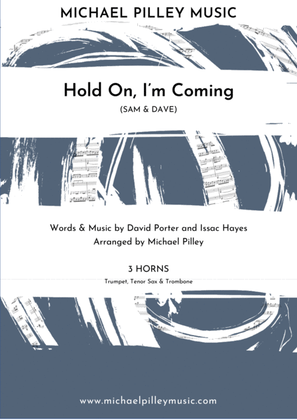 Book cover for Hold On I'm Comin'