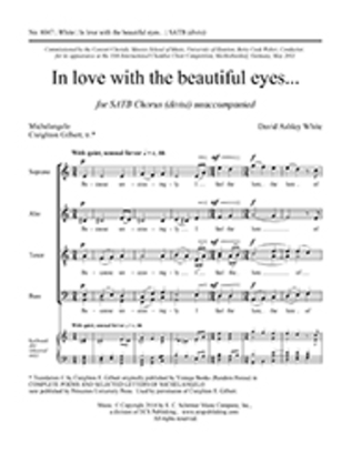 Book cover for In love with the beautiful eyes