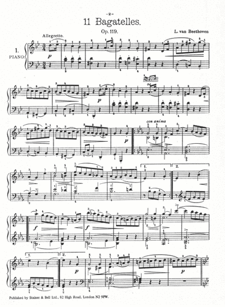 Bagatelles, 11 Op. 119