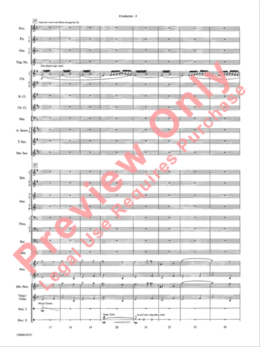 Harry Potter Symphonic Suite Concert Band scores gallery preview page 6