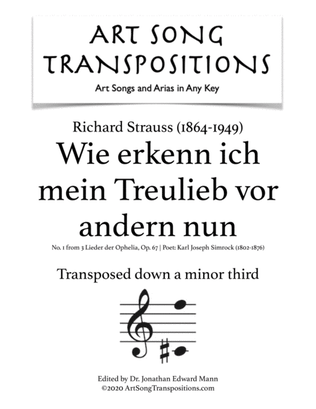 STRAUSS: Wie erkenn ich mein Treulieb vor andern nun (transposed down a minor third)