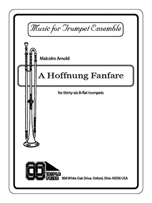 Book cover for A Hoffnung Fanfare