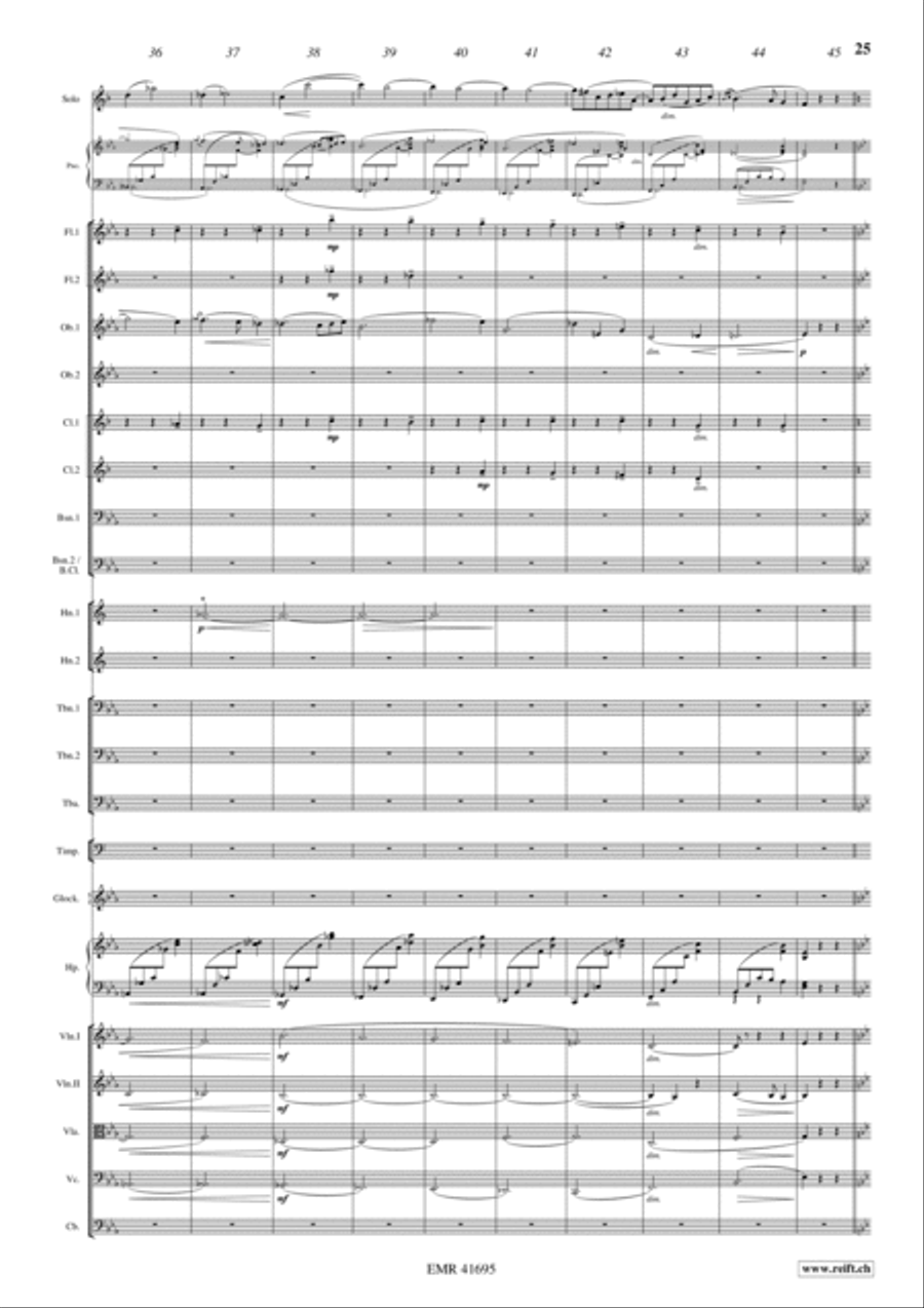 Concerto Orchestra scores gallery preview page 12