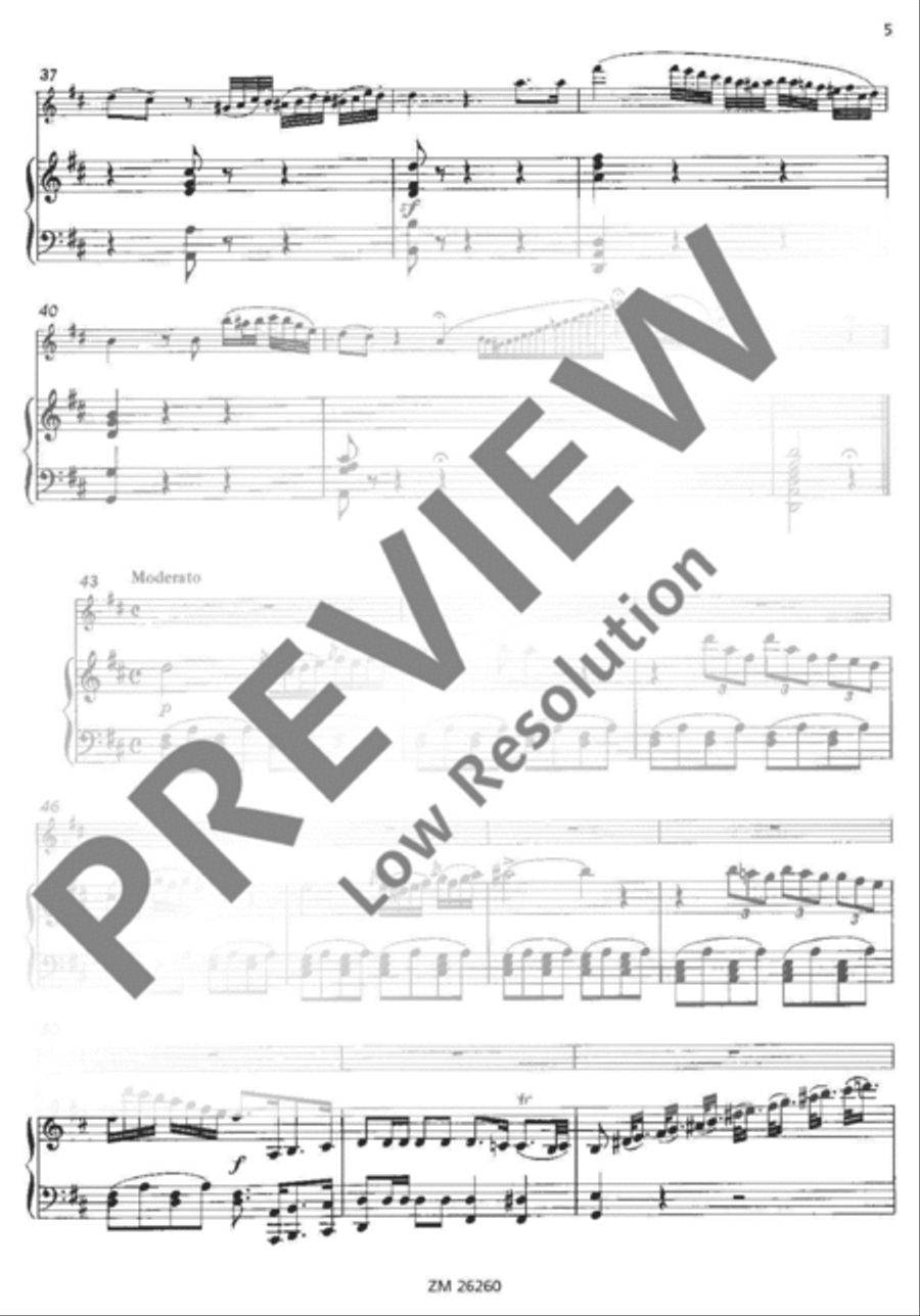 Opera Scenes Opera Scenes Flute Solo scores gallery preview page 6