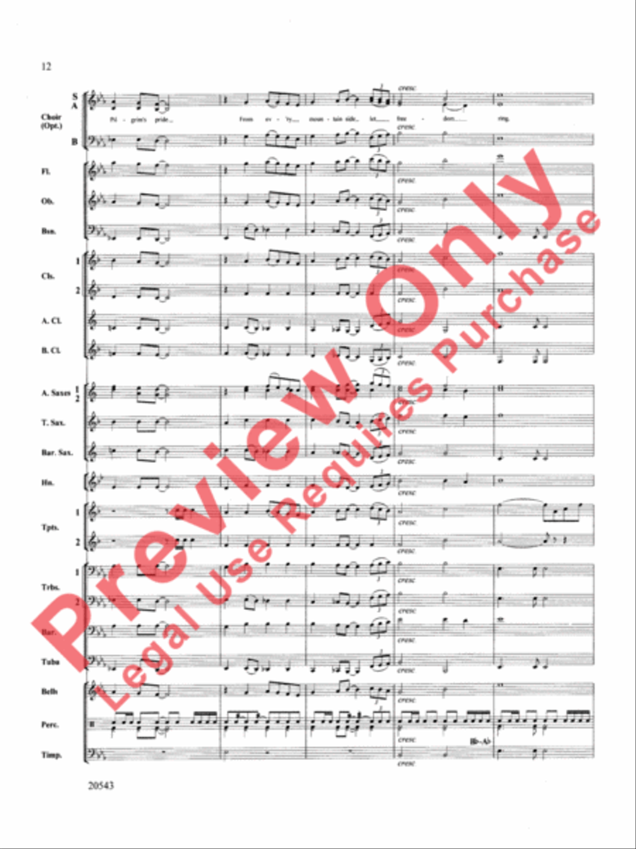 United We Stand (An American Medley) Concert Band scores gallery preview page 13
