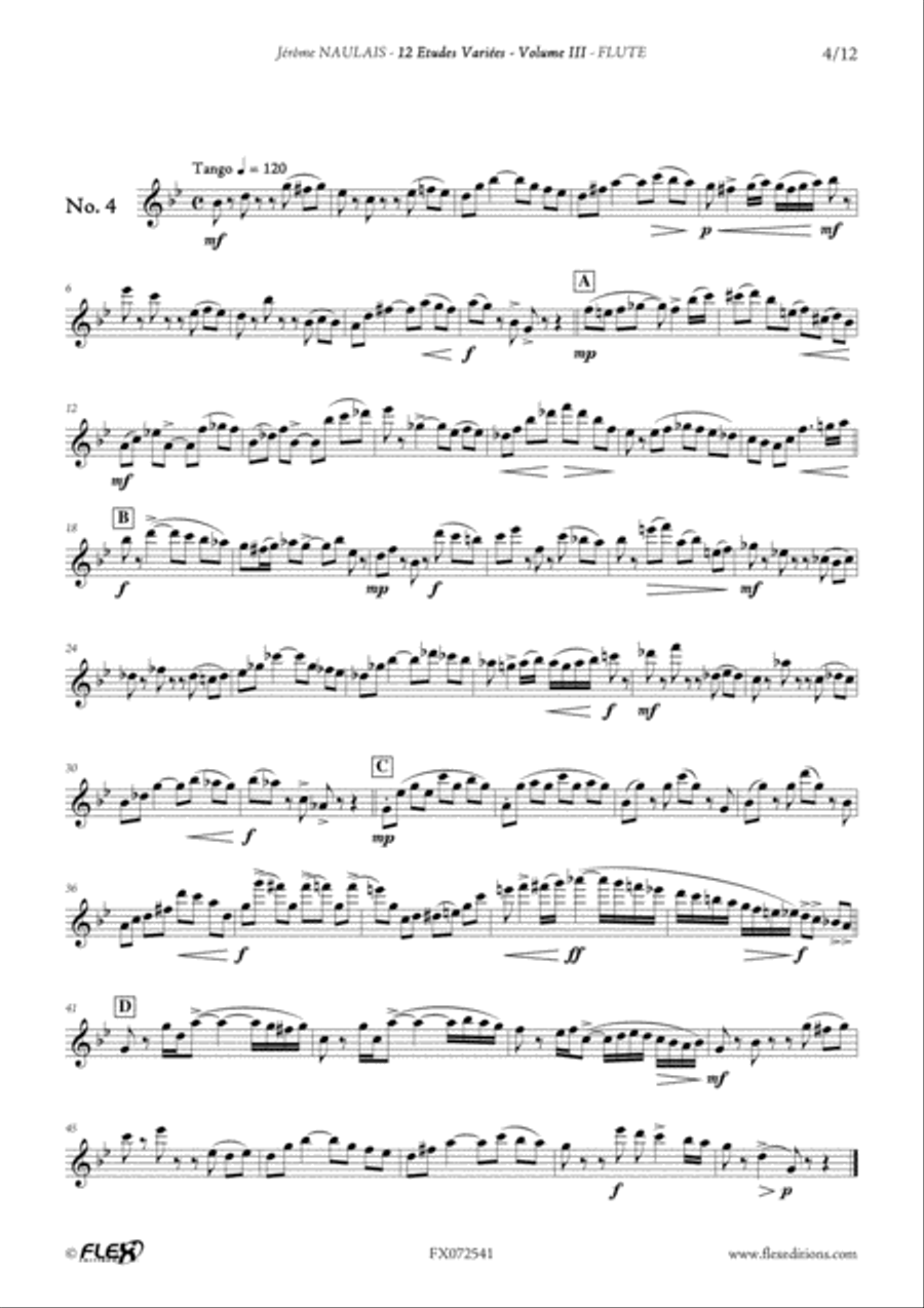 12 Etudes Variees - Volume III Flute Solo scores gallery preview page 5