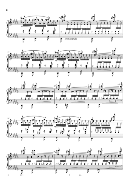 Franz Liszt S.139 No.12 in B Flat Minor Transcendental tude Chasse Neige image number null