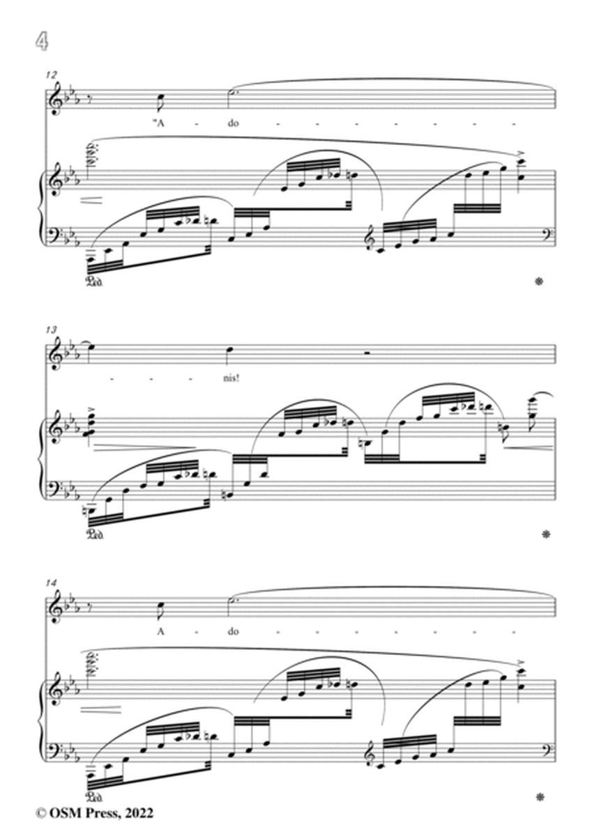 Richard Strauss-Frühlingsfeier,in c minor image number null