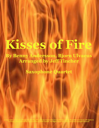 Book cover for Kisses Of Fire