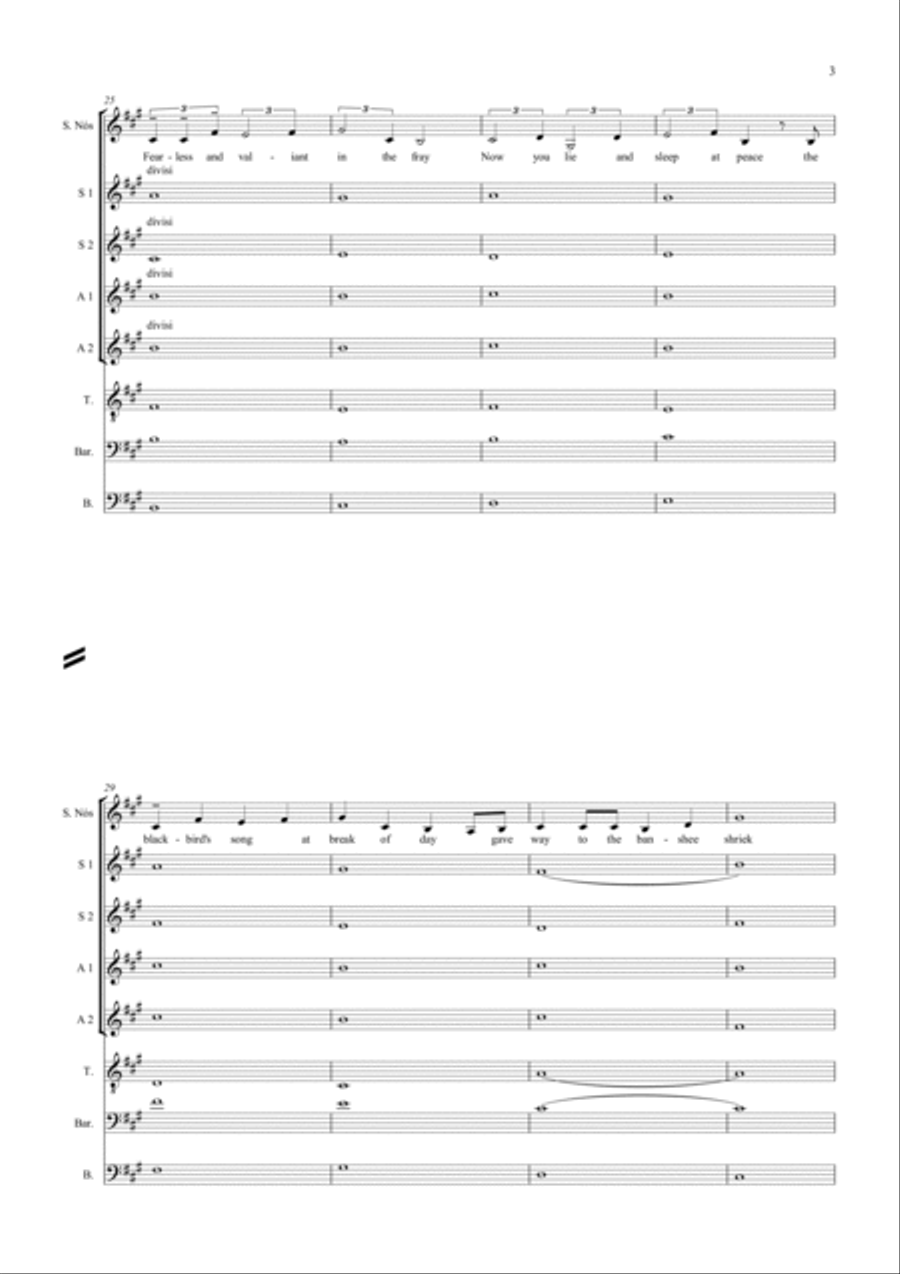 Sadb's Lament for the Fallen King - Mixed Choir and solo Irish sean nos voice Divisi scores gallery preview page 3