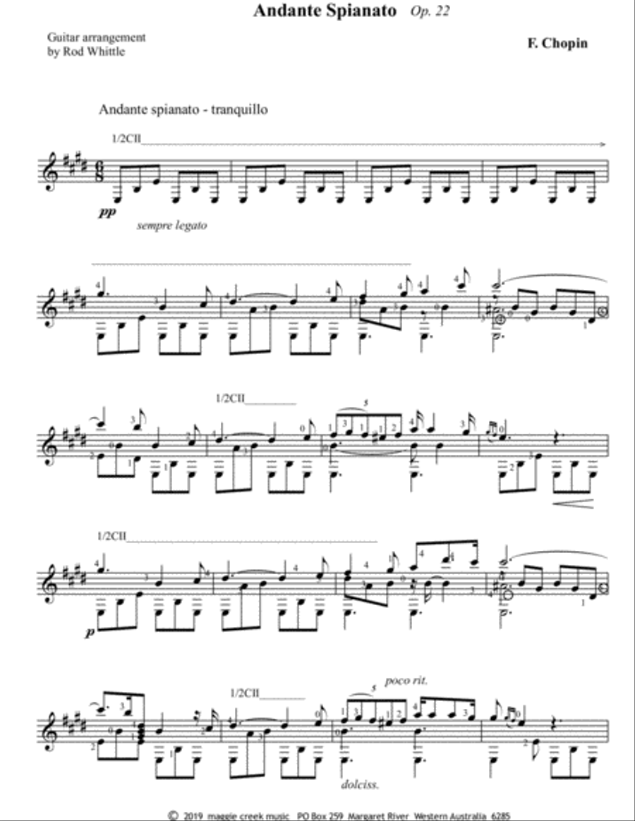 Andante Spianato Op. 22 Classical Guitar scores gallery preview page 1