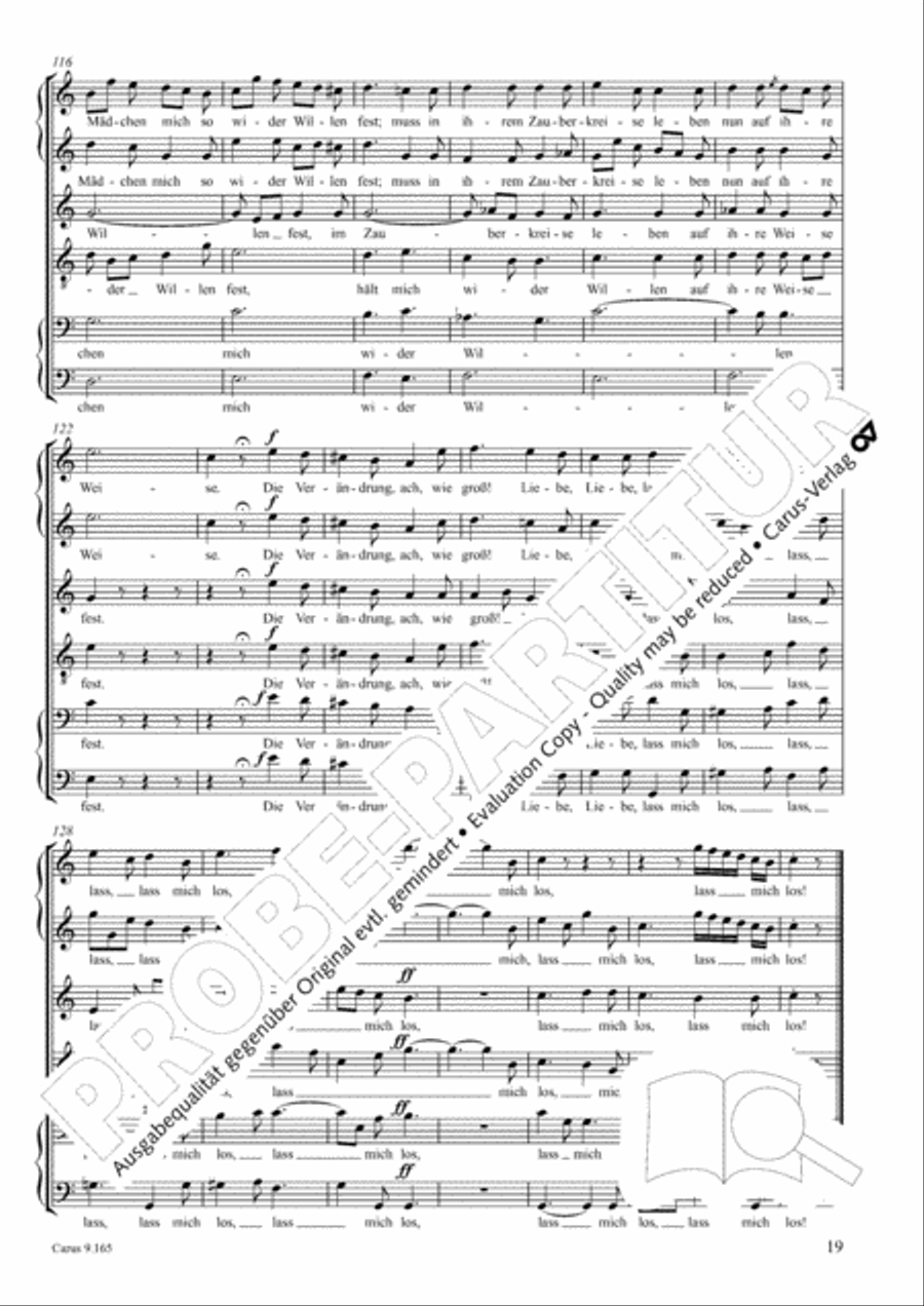 Drei Lieder nach Texten von Goethe Choir scores gallery preview page 20