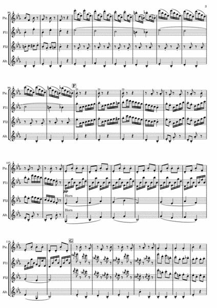 Johann Strauss II - Perpetuum Mobile for Flute Quartet