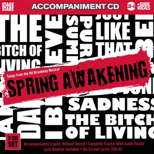 Book cover for Spring Awakening (Karaoke CDG)