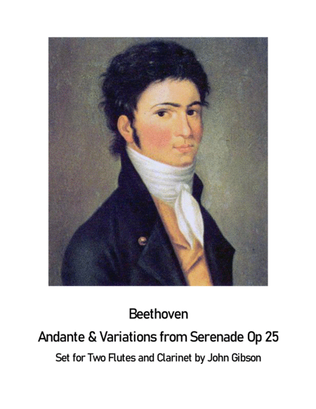 Book cover for Beethoven Andante with Variations set for 2 Flutes and Clarinet Trio