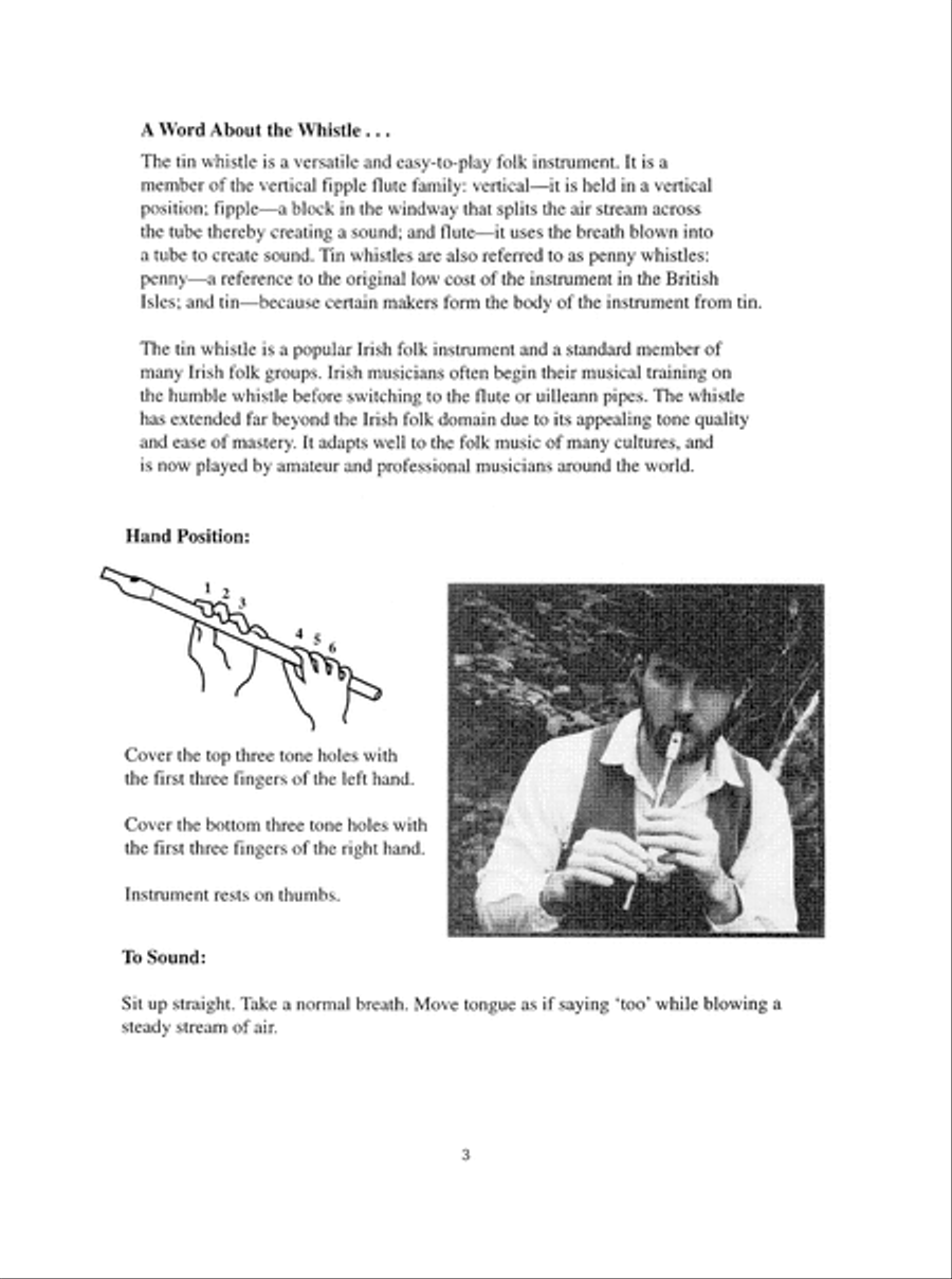 You Can Teach Yourself Tin Whistle Tin Whistle scores gallery preview page 4